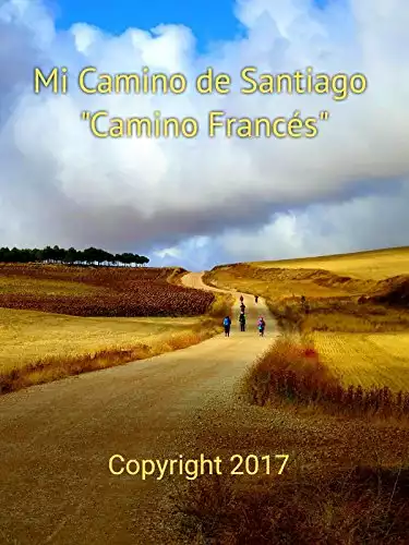 Mi Camino de Santiago "Camino Francés"