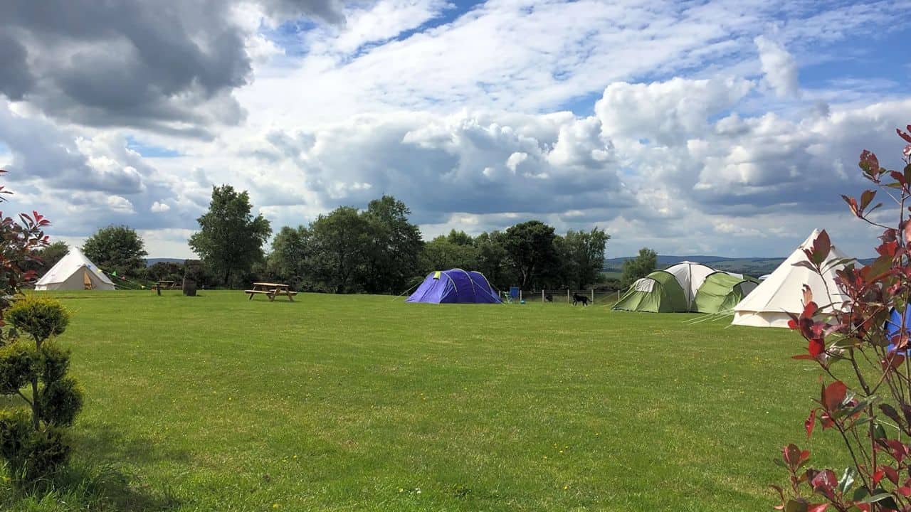A green field with colourful tents at the Bonnybridge Campsite